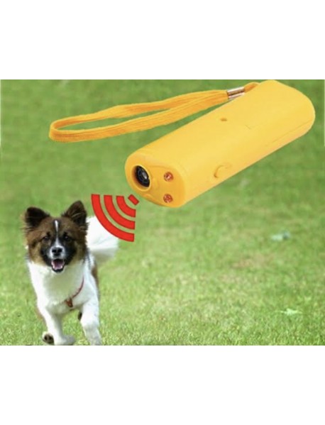 KÖPEK KOVUCU